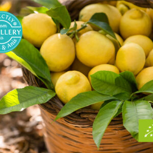 AMON & ANIS (SLOVENIJA) – Limun organsko eterično ulje